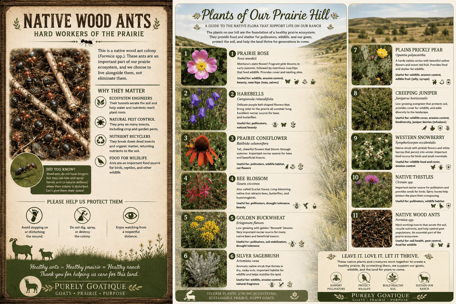 Biodiversity at its best